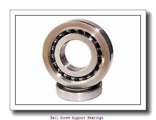 76.2mm x 110mm x 15.875mm  RHP bsb300duhp3-rhp Ball Screw Support Bearings
